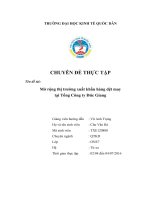 Mở rộng thị trường xuất khẩu hàng dệt may tại tổng công ty đức giang 