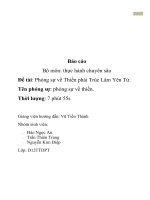 Phóng sự về thiền phái trúc lâm yên tử 