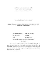 NÂNG CAO HIệU QUả sử DụNG vốn NGÂN SÁCH NHÀ nước TRONG đầu tư PHÁT TRIểN 