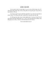 Kiểm toán chi phí hoạt động trong kiểm toán báo cáo tài chính do công ty TNHH kiểm toán và định giá việt nam thực hiện 