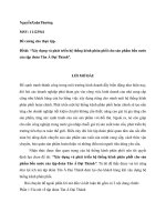 Xây dựng và phát triển hệ thống kênh phân phối cho sản phẩm bồn nước của tập đoàn tân á đại thành 