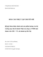 Hoàn thiện chính sách sản phẩm hướng vào thị trường mục tiêu là khách nhật của công ty TNHH một thành viên SMI – VN, chi nhánh tại hà nội  