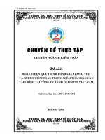 HOÀN THIỆN QUY TRÌNH ĐÁNH GIÁ TRỌNG yếu và rủi RO KIỂM TOÁN TRONG KIỂM TOÁN báo cáo tài CHÍNH tại CÔNG TY TNHH DELOITTE VIỆT NAM 