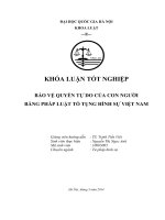 BẢO vệ QUYỀN tự DO của CON NGƯỜI BẰNG PHÁP LUẬT tố TỤNG HÌNH sự VIỆT NAM 