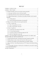 Luận văn   đề tài giải pháp phòng tránh những rủi ro để cá da trơn cạnh tranh có hiệu quả trên thị trường mỹ 