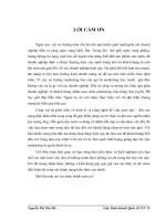 Phát triển dịch vụ đào tạo internet marketing của công ty cổ phần CFV việt nam 