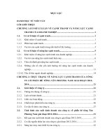 Một số giải pháp nhằm nâng cao năng lực cạnh tranh của công ty cổ phần bê tông tân phương nam 