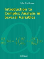 Volker scheidemann introduction to complex analysis 