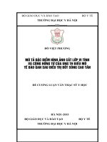 MÔ tả đặc điểm HÌNH ẢNH cắt lớp VI TÍNH và CỘNG HƯỞNG từ của UNG THƯ BIỂU mô tế bào GAN SAU điều TRỊ đốt SÓNG CAO tần 