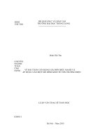 VỀ BÀI TOÁN CÂN BẰNG GIẢ ĐƠN ĐIỆU MẠNH VÀ ÁP DỤNG VÀO MỘT MÔ HÌNH KINH TẾ THN TRƯỜNG ĐIỆN