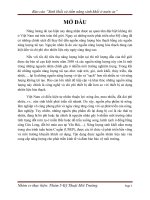 Báo cáo "Năng lượng sinh khối và tiềm năng sinh khối của nước ta"