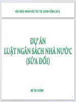DỰ ÁN  LUẬT NGÂN SÁCH NHÀ NƯỚC (SỬA ĐỔI)