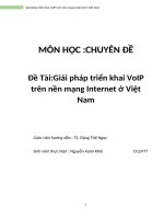 Giải pháp triển khai dịch vụ VoIP cho mạng internet ở việt nam 