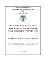 HOÀN THIỆN PHÂN TÍCH báo cáo tài CHÍNH tại CÔNG TY cổ PHẦN XUẤT   NHẬP KHẨU STDD VIỆT NAM 