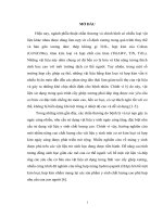 Luận án Nghiên cứu tổng hợp màng hydroxyapatit bằng phương pháp điện hóa trên nền thép không gỉ 316L có và không có màng titan nitrua