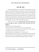 Luận văn hoạch định chương trình marketing năm 2011 cho một sản phẩm của công ty cổ phần nước giải khát tribeco 