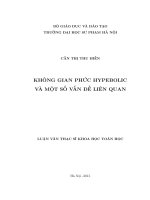 KHÔNG GIAN PHỨC HYPEBOLIC và một số vấn đề LIÊN QUAN 