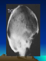 KIỂM TRA LÂM SÀNG CHẨN ĐOÁN HÌNH ẢNH HỆ THẦN KINH