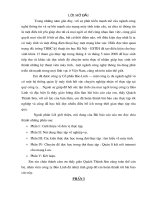 Báo cáo thực tập tại công ty CP bảo linh (tổng quan) 