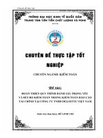 HOÀN THIỆN QUY TRÌNH ĐÁNH GIÁ TRỌNG yếu và rủi RO KIỂM TOÁN TRONG KIỂM TOÁN báo cáo tài CHÍNH tại CÔNG TY TNHH DELOITTE VIỆT NAM 