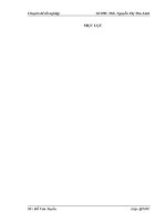 Một số giải pháp marketing nhằm duy trì và mở rộng thị trường của công ty TNHH aiden việt nam 