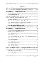 Báo cáo thực tập tại công ty TNHH nhựa composite việt á 