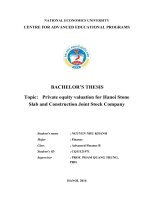 Private equity valuation for hanoi stone slab and construction joint stock company 