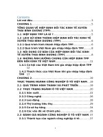 Ngành công nghiệp ô tô tại việt nam trước ngưỡng cửa hiệp định đối tác xuyên thái bình dương (TPP) có hiệu lực 