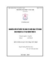 NGHIÊN cứu về điều TRỊ UNG THƯ nội mạc tử CUNG GIAI đoạn III, IV tại BỆNH VIỆN k 