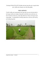 Vận dụng NTKQ,NTTD,NTPT để phân tích thực trạng, hậu quả và nguyên nhân gây ô nhiễm môi trường do sản xuất nông nghiệp 