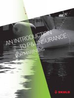 An introduction to P and I insurance for mariners