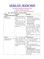 Giáo án mầm non Kế hoạch chăm sóc giáo dục trẻ theo chỉ số