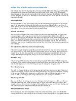 NHỮNG điều nên làm TRƯỚC KHI đi PHỎNG vấn 