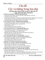 Giáo án mầm non Chủ đề cây và những bông hoa đẹp