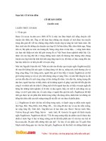 Soạn bài lớp 8: Cô bé bán diêm