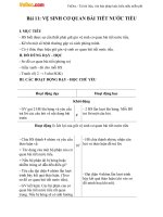 Giáo án Tự nhiên xã hội 3 bài 11