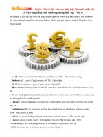 20 Từ vựng tiếng Anh sử dụng trong lĩnh vực Tiền tệ