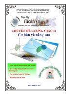 Tài liệu luyện Đại số và giải tích 11 cơ bản và nâng cao