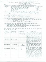 Bài giải bài tập trên lớp