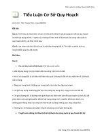 Tiểu luận cơ sở quy hoạch 