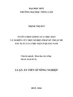 Tuyển chọn giống lúa chịu mặn và nghiên cứu một số biện pháp kỹ thuật để sản xuất lúa chịu mặn ở quảng nam (TT)