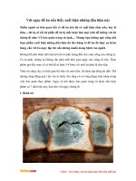 Vứt ngay đồ ăn nếu thấy xuất hiện những dấu hiệu này