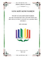 Dạy học tích hợp kiến thức liên môn trong bài: Tiêu chuân ăn uống và nguyên tắc lập khẩu phần Sinh học 8