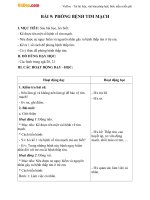 Giáo án Tự nhiên xã hội 3 bài 9