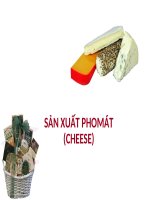 Báo cáo cao học cơ sở lý thuyết và quy trình lên men sản xuất pho mát (cheese)