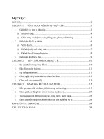 Mẫu báo cáo thực tập tốt nghiệp kỹ thuật môi trường