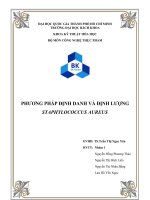 Các phương pháp định danh và định lượng vi khuẩn Staphylococcus aureus