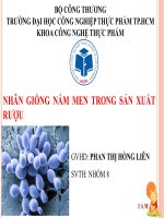 Nhân giống nấm men trong sản xuất rượu