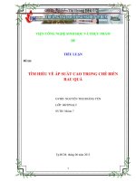 Tìm hiểu về áp suất cao trong chế biến rau quả