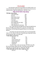 Tác dụng của cây ba kích